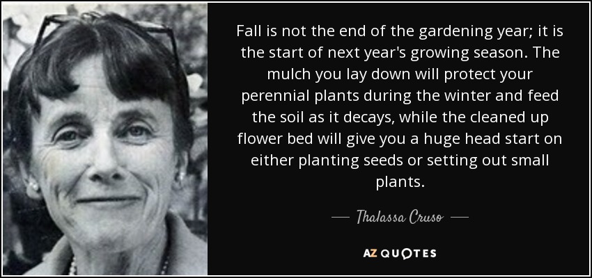 Fall is not the end of the gardening year; it is the start of next year's growing season. The mulch you lay down will protect your perennial plants during the winter and feed the soil as it decays, while the cleaned up flower bed will give you a huge head start on either planting seeds or setting out small plants. - Thalassa Cruso