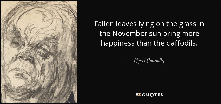 Las hojas caídas tendidas sobre la hierba bajo el sol de noviembre traen más felicidad que los narcisos. - Cyril Connolly