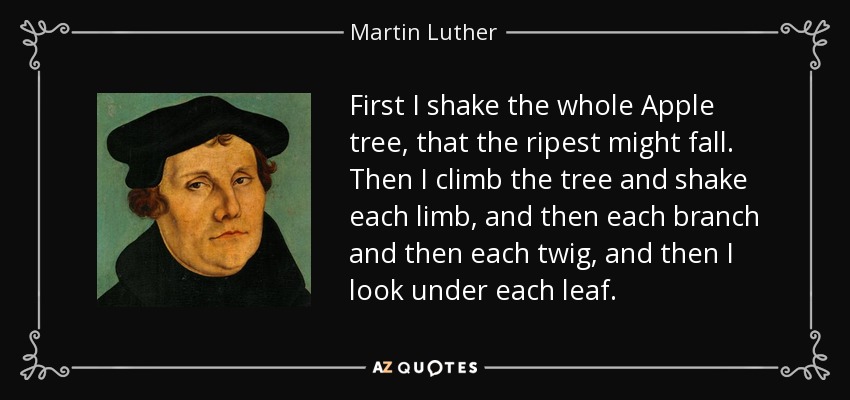 Primero sacudo todo el manzano, para que caiga lo más maduro. Luego me subo al árbol y sacudo cada rama, y luego cada ramita, y luego miro debajo de cada hoja. - Martin Luther