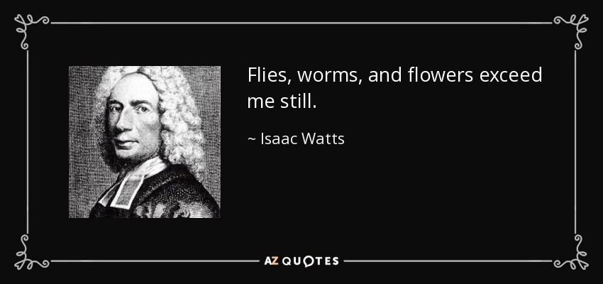 Las moscas, los gusanos y las flores aún me superan. - Isaac Watts