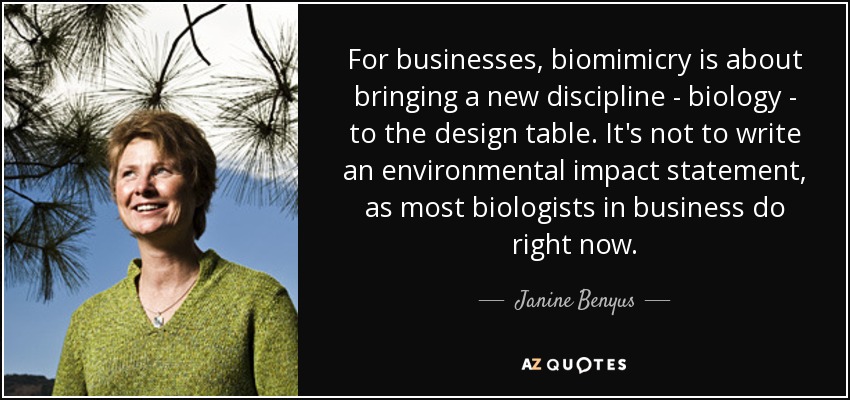 For businesses, biomimicry is about bringing a new discipline - biology - to the design table. It's not to write an environmental impact statement, as most biologists in business do right now. - Janine Benyus