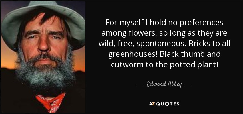 En cuanto a mí, no tengo preferencias entre las flores, siempre que sean silvestres, libres, espontáneas. ¡Ladrillos a todos los invernaderos! ¡Pulgar negro y gusano cortador a la planta en maceta! - Edward Abbey