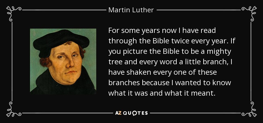 For some years now I have read through the Bible twice every year. If you picture the Bible to be a mighty tree and every word a little branch, I have shaken every one of these branches because I wanted to know what it was and what it meant. - Martin Luther