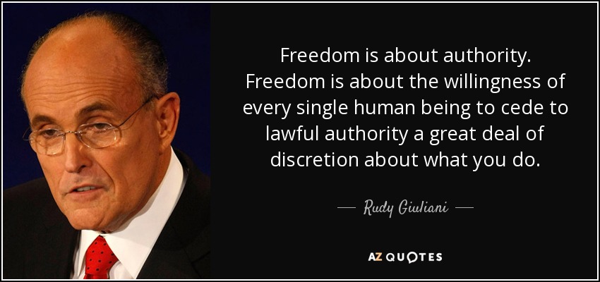 Freedom is about authority. Freedom is about the willingness of every single human being to cede to lawful authority a great deal of discretion about what you do. - Rudy Giuliani