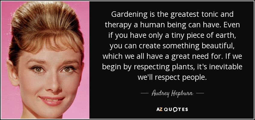 Gardening is the greatest tonic and therapy a human being can have. Even if you have only a tiny piece of earth, you can create something beautiful, which we all have a great need for. If we begin by respecting plants, it's inevitable we'll respect people. - Audrey Hepburn