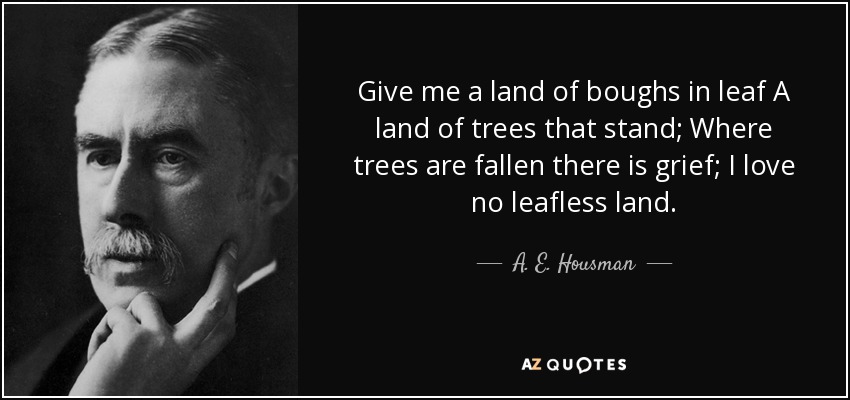 Give me a land of boughs in leaf A land of trees that stand; Where trees are fallen there is grief; I love no leafless land. - A. E. Housman