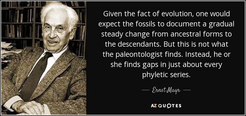 Given the fact of evolution, one would expect the fossils to document a gradual steady change from ancestral forms to the descendants. But this is not what the paleontologist finds. Instead, he or she finds gaps in just about every phyletic series. - Ernst Mayr