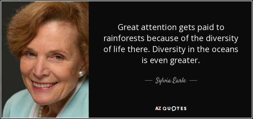 Great attention gets paid to rainforests because of the diversity of life there. Diversity in the oceans is even greater. - Sylvia Earle