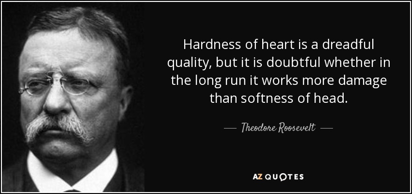 La dureza de corazón es una cualidad terrible, pero es dudoso que a la larga cause más daño que la blandura de cabeza. - Theodore Roosevelt