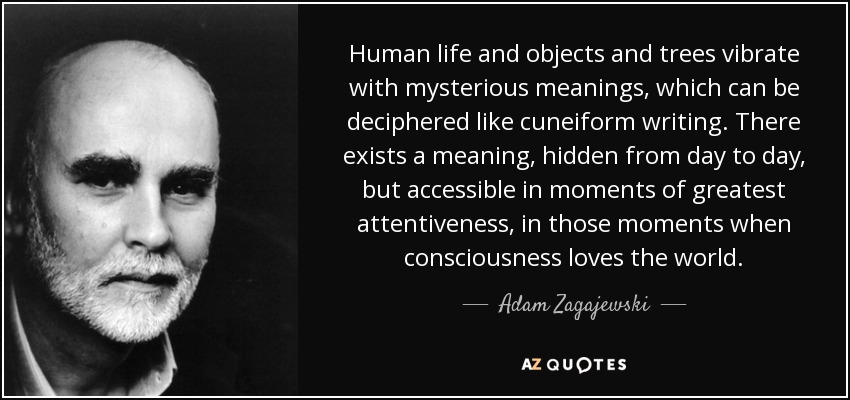 Human life and objects and trees vibrate with mysterious meanings, which can be deciphered like cuneiform writing. There exists a meaning, hidden from day to day, but accessible in moments of greatest attentiveness, in those moments when consciousness loves the world. - Adam Zagajewski