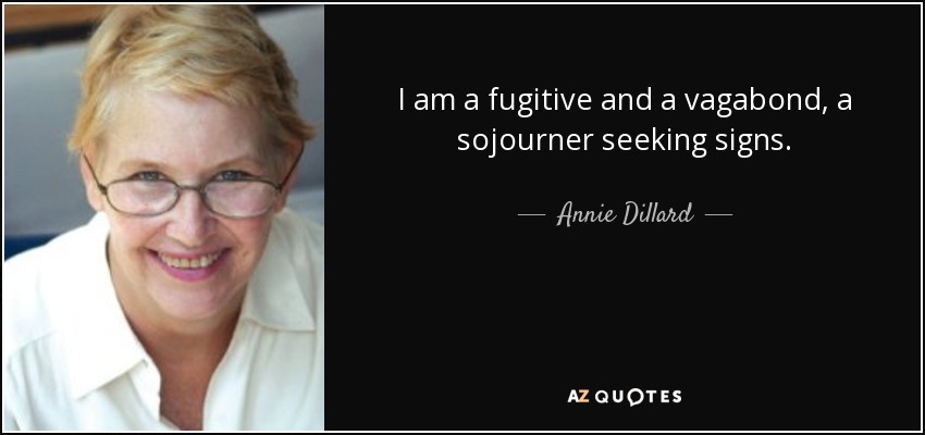 I am a fugitive and a vagabond, a sojourner seeking signs. - Annie Dillard
