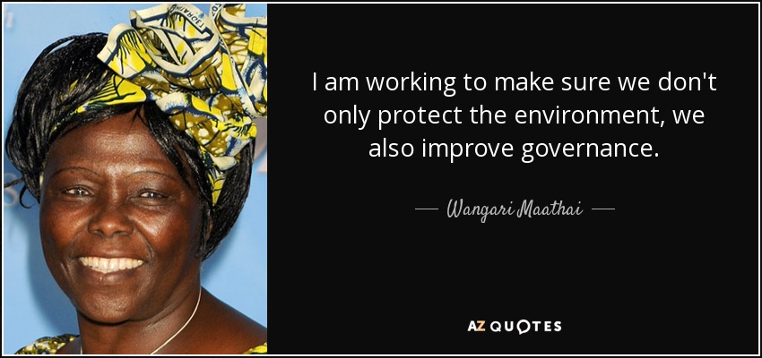 Estoy trabajando para asegurarme de que no sólo protegemos el medio ambiente, sino que también mejoramos la gobernanza. - Wangari Maathai