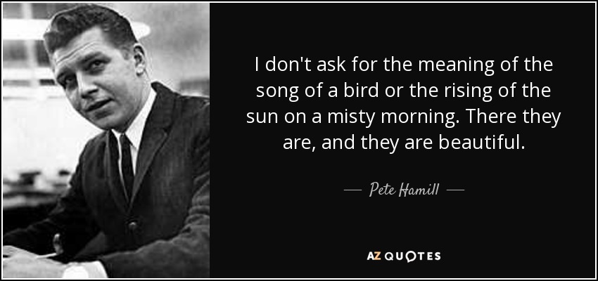 I don't ask for the meaning of the song of a bird or the rising of the sun on a misty morning. There they are, and they are beautiful. - Pete Hamill