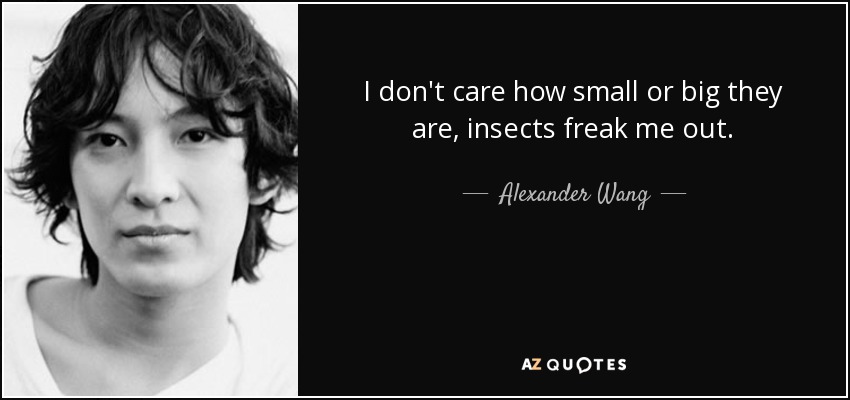 I don't care how small or big they are, insects freak me out. - Alexander Wang