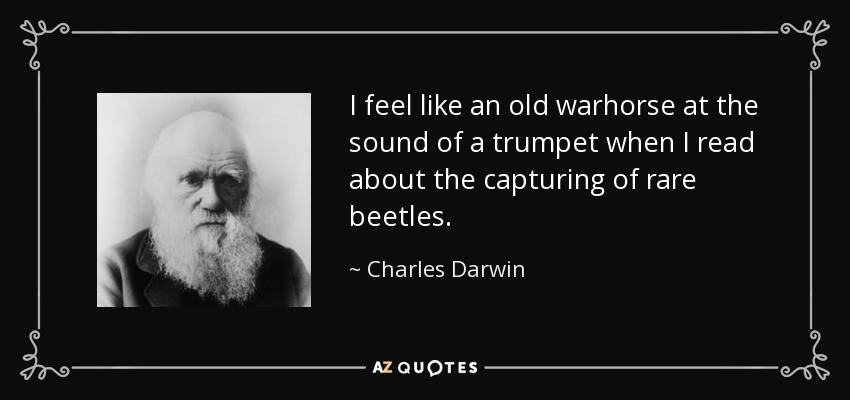 I feel like an old warhorse at the sound of a trumpet when I read about the capturing of rare beetles. - Charles Darwin