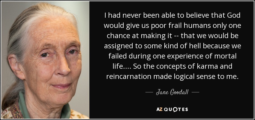 I had never been able to believe that God would give us poor frail humans only one chance at making it -- that we would be assigned to some kind of hell because we failed during one experience of mortal life. ... So the concepts of karma and reincarnation made logical sense to me. - Jane Goodall