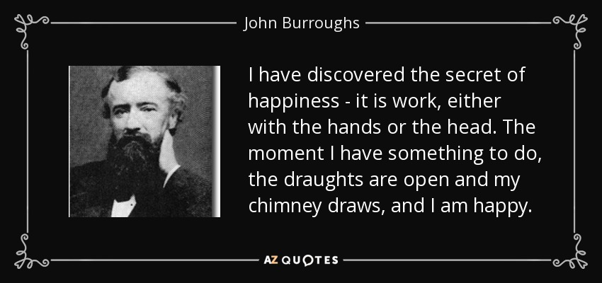 He descubierto el secreto de la felicidad: es el trabajo, ya sea con las manos o con la cabeza. En el momento en que tengo algo que hacer, las corrientes de aire se abren y mi chimenea se funde, y soy feliz. - John Burroughs