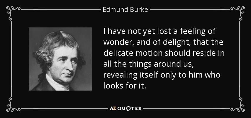 Aún no he perdido el sentimiento de asombro y de deleite de que el delicado movimiento resida en todas las cosas que nos rodean, revelándose sólo a quien lo busca. - Edmund Burke