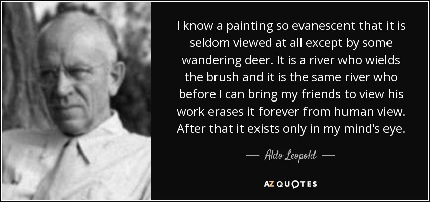 I know a painting so evanescent that it is seldom viewed at all except by some wandering deer. It is a river who wields the brush and it is the same river who before I can bring my friends to view his work erases it forever from human view. After that it exists only in my mind's eye. - Aldo Leopold