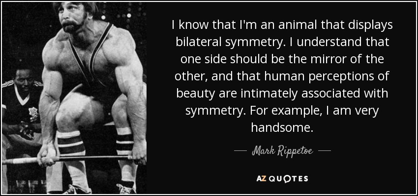 I know that I'm an animal that displays bilateral symmetry. I understand that one side should be the mirror of the other, and that human perceptions of beauty are intimately associated with symmetry. For example, I am very handsome. - Mark Rippetoe