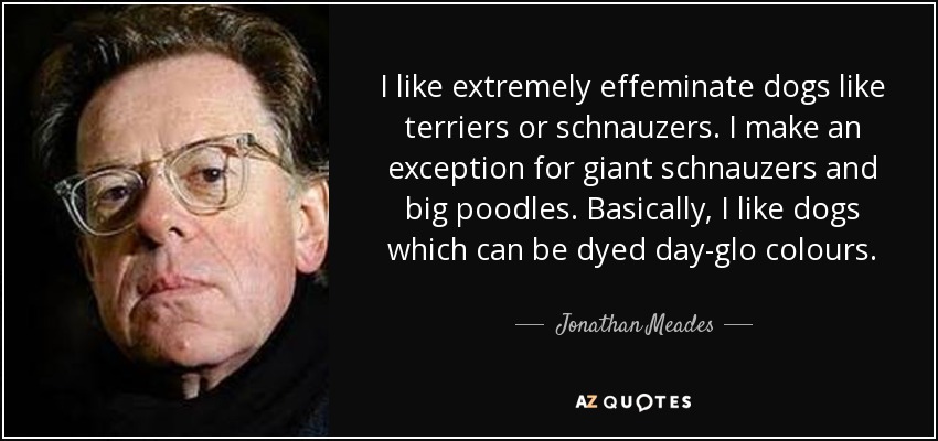 Me gustan los perros extremadamente afeminados, como los terriers o los schnauzers. Hago una excepción con los schnauzers gigantes y los caniches grandes. Básicamente, me gustan los perros que se pueden teñir de colores chillones. - Jonathan Meades