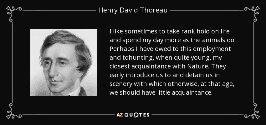 I like sometimes to take rank hold on life and spend my day more as the animals do. Perhaps I have owed to this employment and tohunting, when quite young, my closest acquaintance with Nature. They early introduce us to and detain us in scenery with which otherwise, at that age, we should have little acquaintance. - Henry David Thoreau