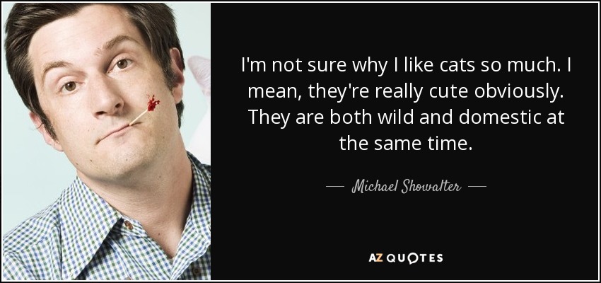 I'm not sure why I like cats so much. I mean, they're really cute obviously. They are both wild and domestic at the same time. - Michael Showalter