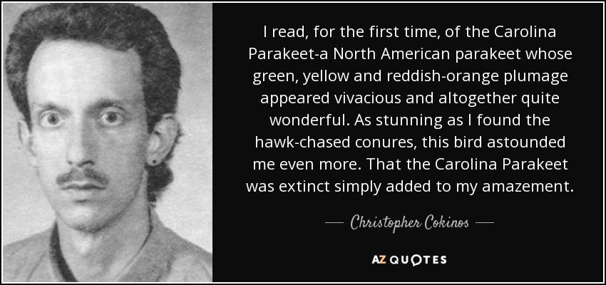 I read, for the first time, of the Carolina Parakeet-a North American parakeet whose green, yellow and reddish-orange plumage appeared vivacious and altogether quite wonderful. As stunning as I found the hawk-chased conures, this bird astounded me even more. That the Carolina Parakeet was extinct simply added to my amazement. - Christopher Cokinos