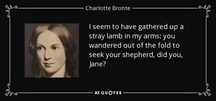 Parece que he recogido en mis brazos a una oveja descarriada: te alejaste del redil para buscar a tu pastor, ¿verdad, Jane? - Charlotte Bronte