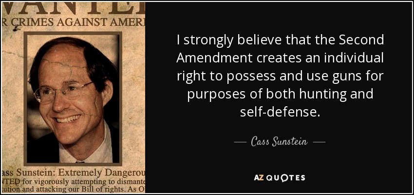 I strongly believe that the Second Amendment creates an individual right to possess and use guns for purposes of both hunting and self-defense. - Cass Sunstein