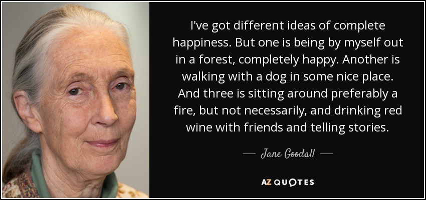 I've got different ideas of complete happiness. But one is being by myself out in a forest, completely happy. Another is walking with a dog in some nice place. And three is sitting around preferably a fire, but not necessarily, and drinking red wine with friends and telling stories. - Jane Goodall