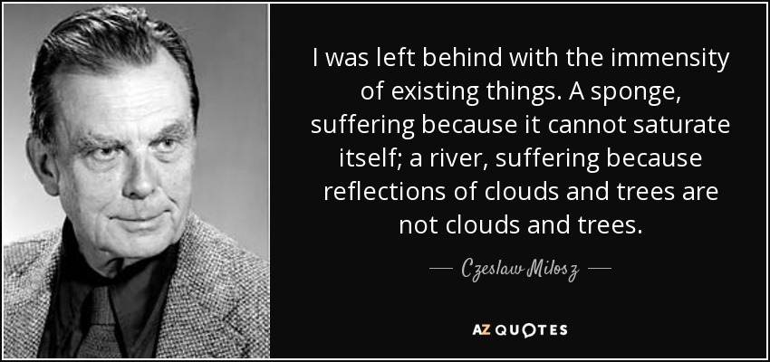 Me quedé atrás con la inmensidad de las cosas existentes. Una esponja, sufriendo porque no puede saturarse; un río, sufriendo porque los reflejos de las nubes y los árboles no son nubes ni árboles. - Czeslaw Milosz