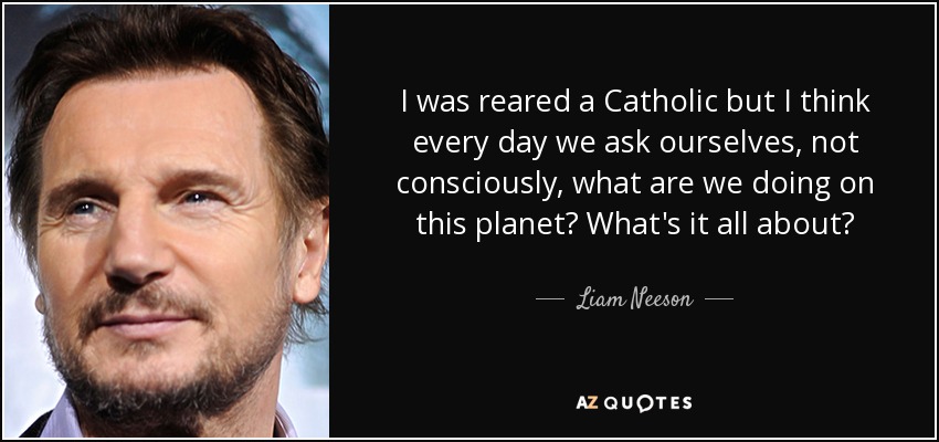 Me crié como católico, pero creo que todos los días nos preguntamos, no conscientemente, ¿qué hacemos en este planeta? ¿De qué se trata? - Liam Neeson