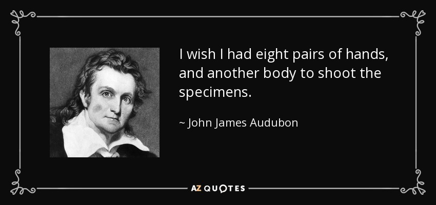 I wish I had eight pairs of hands, and another body to shoot the specimens. - John James Audubon