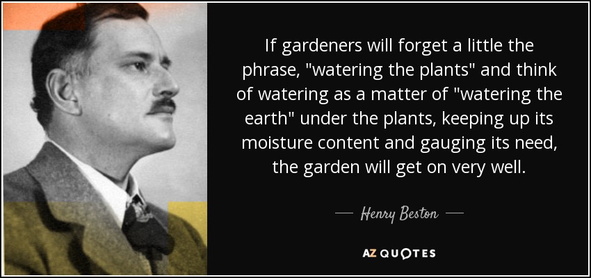 If gardeners will forget a little the phrase, 