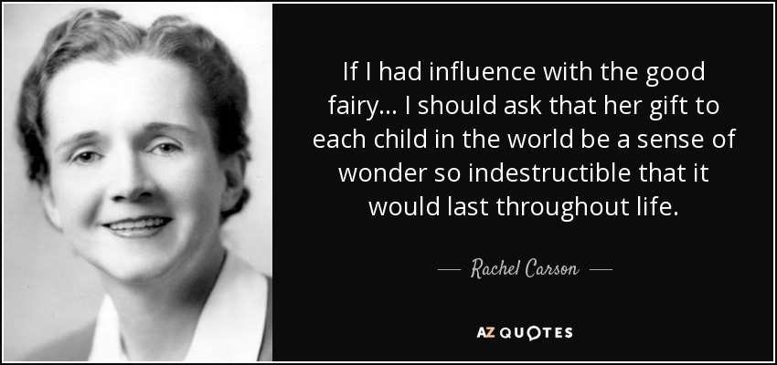 If I had influence with the good fairy... I should ask that her gift to each child in the world be a sense of wonder so indestructible that it would last throughout life. - Rachel Carson