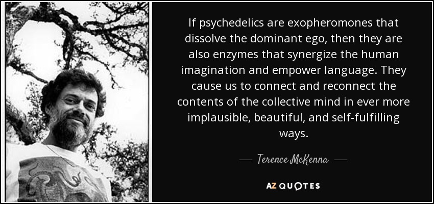 If psychedelics are exopheromones that dissolve the dominant ego, then they are also enzymes that synergize the human imagination and empower language. They cause us to connect and reconnect the contents of the collective mind in ever more implausible, beautiful, and self-fulfilling ways. - Terence McKenna