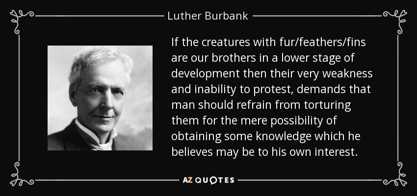 If the creatures with fur/feathers/fins are our brothers in a lower stage of development then their very weakness and inability to protest, demands that man should refrain from torturing them for the mere possibility of obtaining some knowledge which he believes may be to his own interest. - Luther Burbank