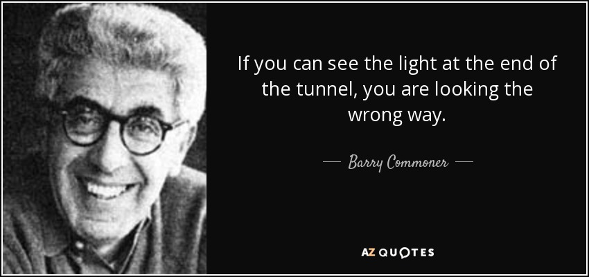 Si puedes ver la luz al final del túnel, estás mirando en la dirección equivocada. - Barry Commoner