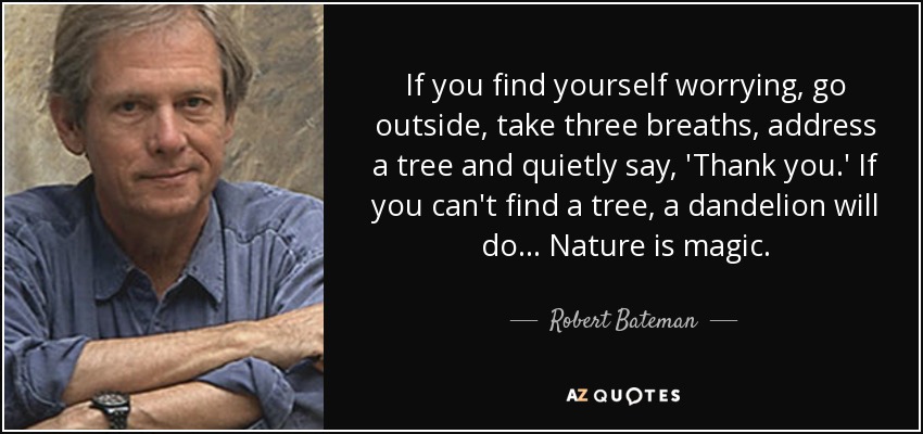 If you find yourself worrying, go outside, take three breaths, address a tree and quietly say, 'Thank you.' If you can't find a tree, a dandelion will do... Nature is magic. - Robert Bateman