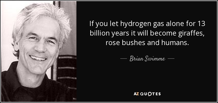 If you let hydrogen gas alone for 13 billion years it will become giraffes, rose bushes and humans. - Brian Swimme