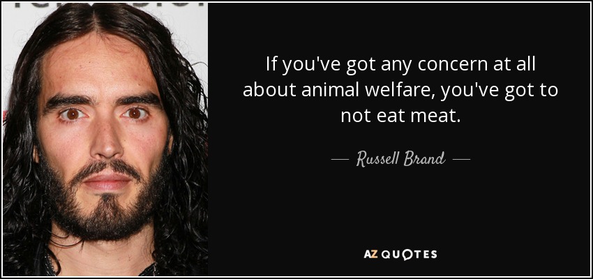 If you've got any concern at all about animal welfare, you've got to not eat meat. - Russell Brand