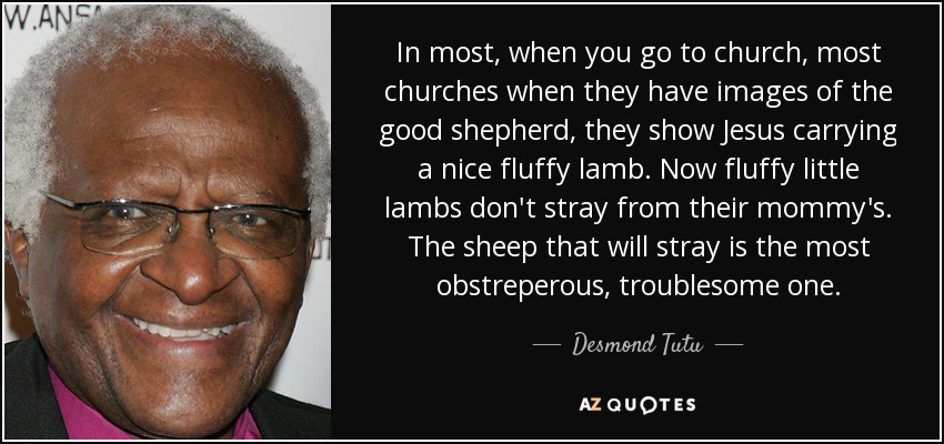 En la mayoría, cuando vas a la iglesia, la mayoría de las iglesias cuando tienen imágenes del buen pastor, muestran a Jesús cargando un lindo y esponjoso corderito. Ahora bien, los corderitos esponjosos no se alejan de su mamá. La oveja que se aleja es la más obstinada y problemática. - Desmond Tutu