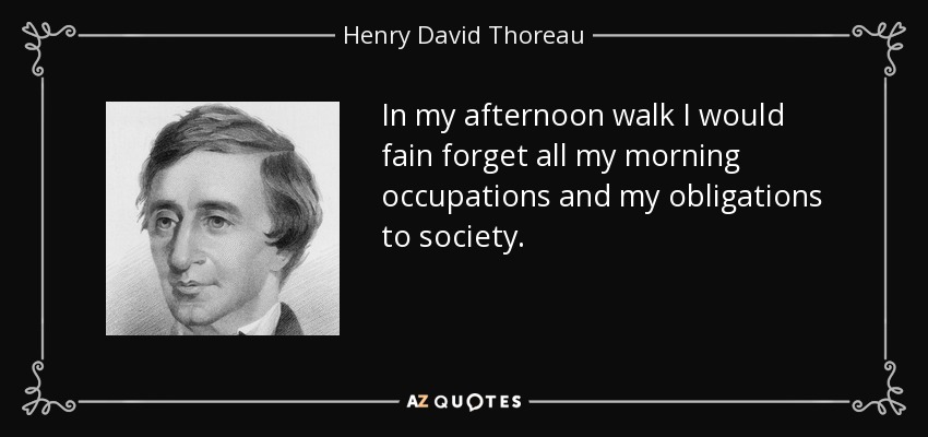 In my afternoon walk I would fain forget all my morning occupations and my obligations to society. - Henry David Thoreau