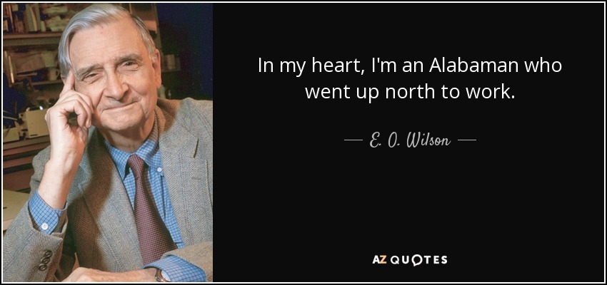 In my heart, I'm an Alabaman who went up north to work. - E. O. Wilson