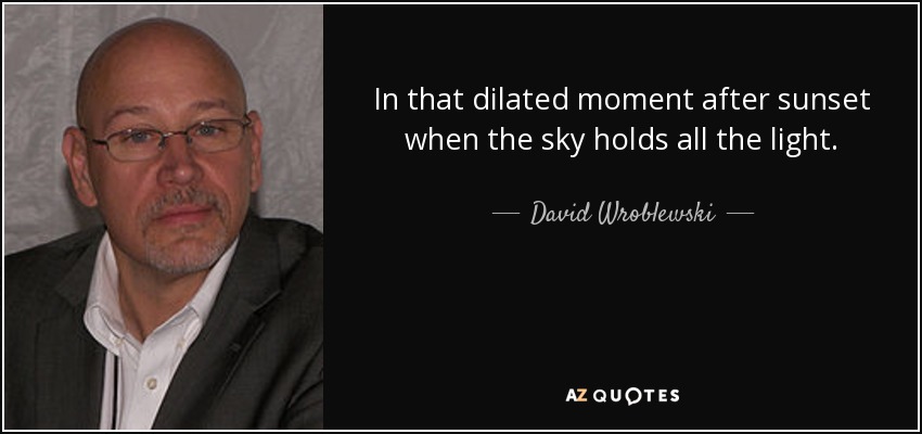 In that dilated moment after sunset when the sky holds all the light. - David Wroblewski