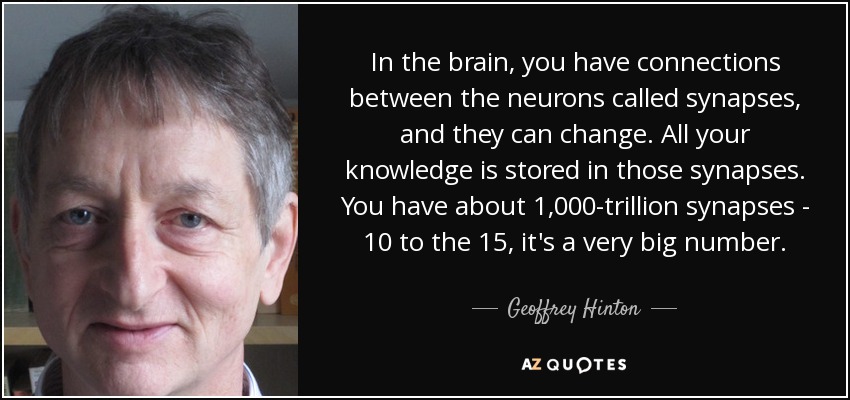 En el cerebro hay unas conexiones entre neuronas llamadas sinapsis que pueden cambiar. Todo tu conocimiento se almacena en esas sinapsis. Tienes alrededor de 1.000 billones de sinapsis: de 10 a 15, es un número muy grande. - Geoffrey Hinton