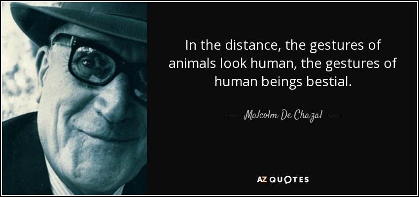 In the distance, the gestures of animals look human, the gestures of human beings bestial. - Malcolm De Chazal
