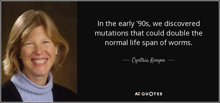 A principios de los 90, descubrimos mutaciones que podían duplicar la vida normal de los gusanos. - Cynthia Kenyon