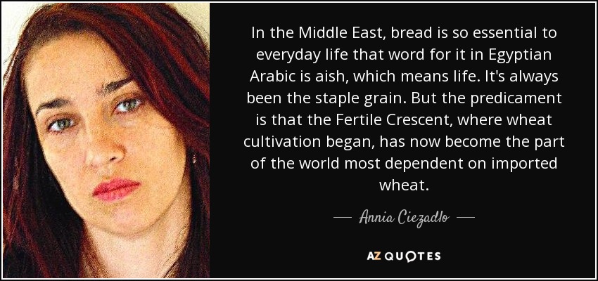 In the Middle East, bread is so essential to everyday life that word for it in Egyptian Arabic is aish, which means life. It's always been the staple grain. But the predicament is that the Fertile Crescent, where wheat cultivation began, has now become the part of the world most dependent on imported wheat. - Annia Ciezadlo
